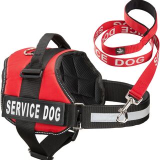 Red service dog vest and matching leash with Service Dog patches