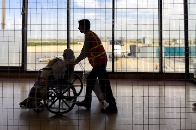 Service dogs for mobility
