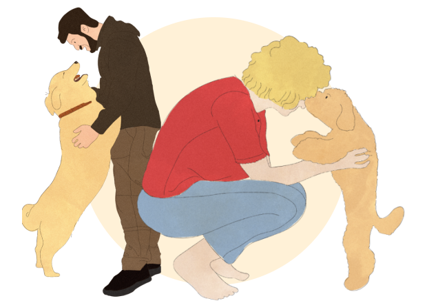 Service dog companion happy and supportive