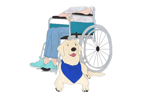 Mobility service dogs