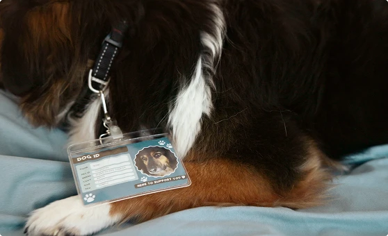 Service dogs ID tags
