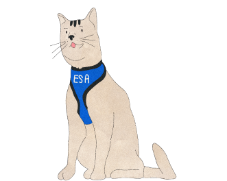 https://www.servicedogs.com/wp-content/uploads/2022/12/Dog-1.png