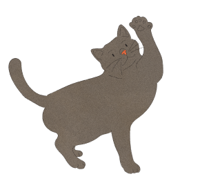 Cat 1 Cat 1