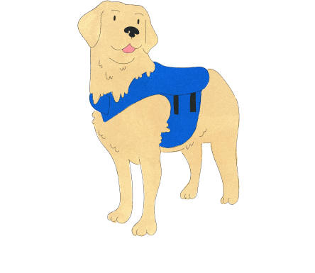 Service Animal