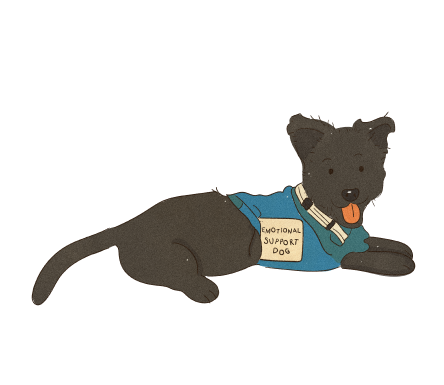 Psychiatric Service Dog