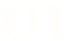 01 01