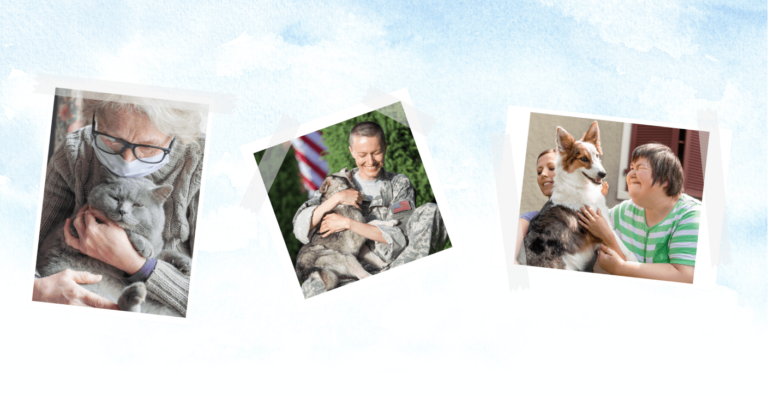 How to get an emotional support animal