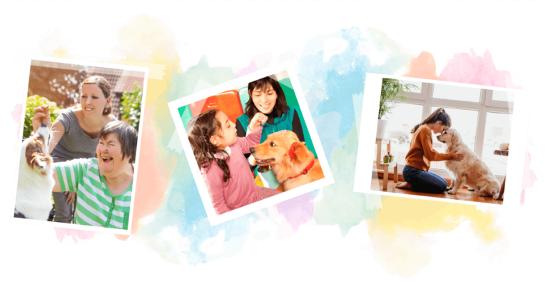 Therapy and assistance animals