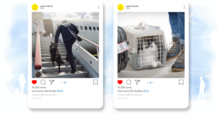 emotional support animals airlines policy