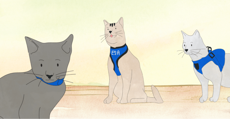 emotional support cat