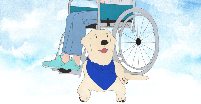Difference between Service and Emotional Animals - Service Dogs service animal vs emotional support animal