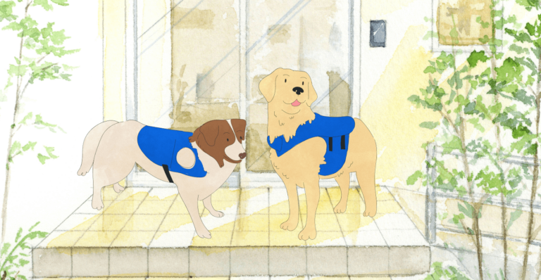 - Service Dogs service dog laws