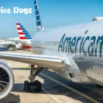 What is American Airlines Pet Policy
