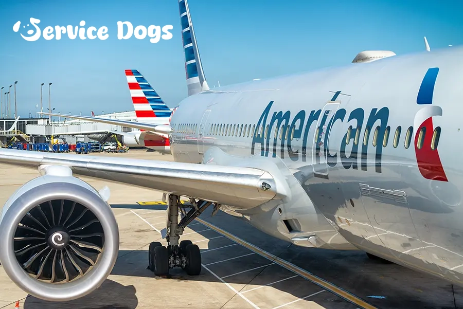 American airlines pet policy