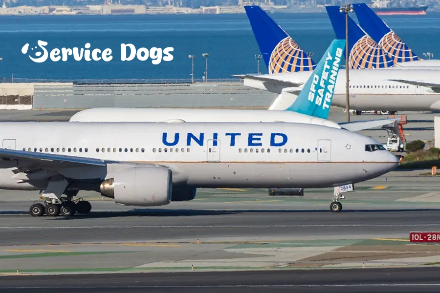 United airlines pet policy for service dogs