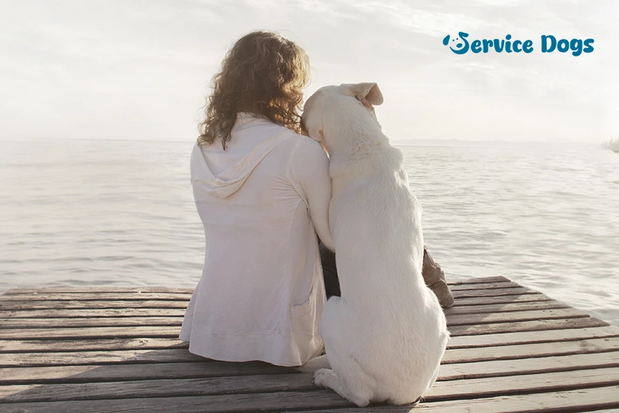 Emotional support animal