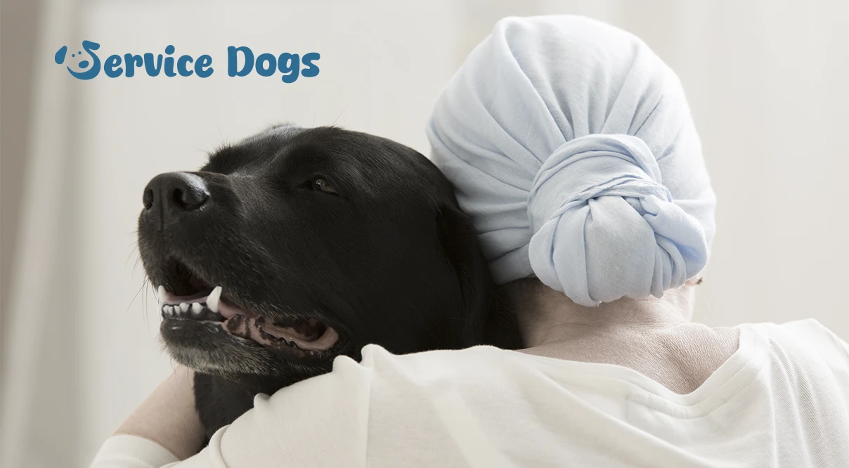 What is a Therapy Animal