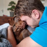 What is an Emotional Support Dog: How to Get Registration and Certification