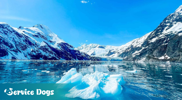 Emotional Support Animal Alaska