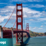 California ESA Letter: How to Get It and California ESA Laws