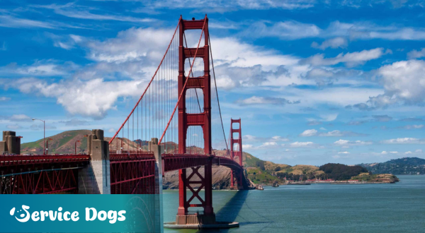 Emotional Support Animal California