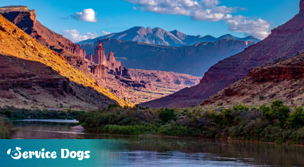 Emotional Support Animal Colorado