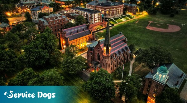 Emotional Support Animal Connecticut