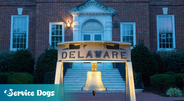 Emotional Support Animal Delaware
