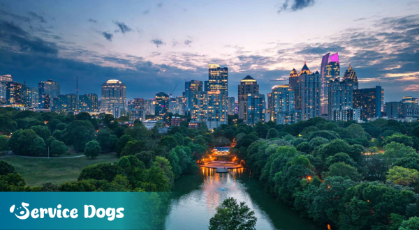 Emotional Support Animal Georgia