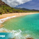 Hawaii ESA Letter: How to Get It and ESA Laws in Hawaii