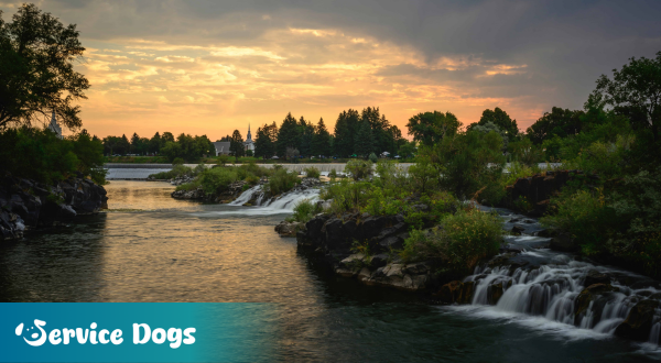 Emotional Support Animal Idaho