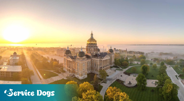 Emotional Support Animal Iowa