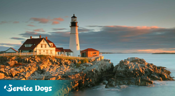 Emotional Support Animal Maine