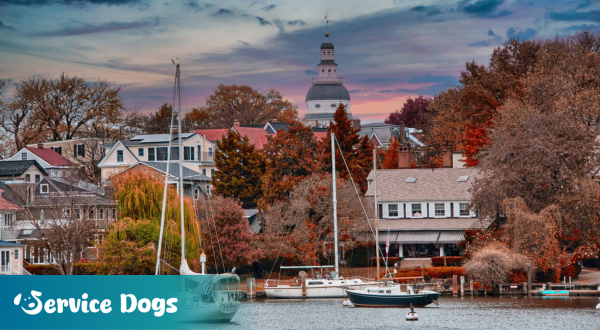 Emotional Support Animal Maryland