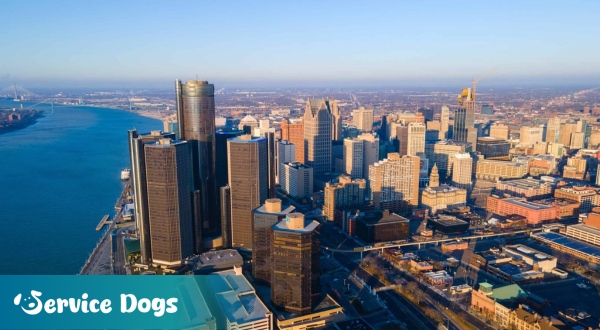 Emotional Support Animal Michigan