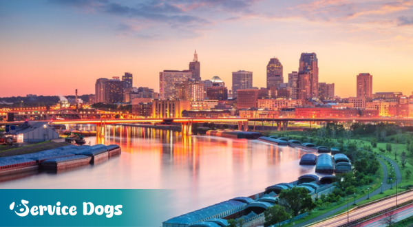 Emotional Support Animal Minnesota