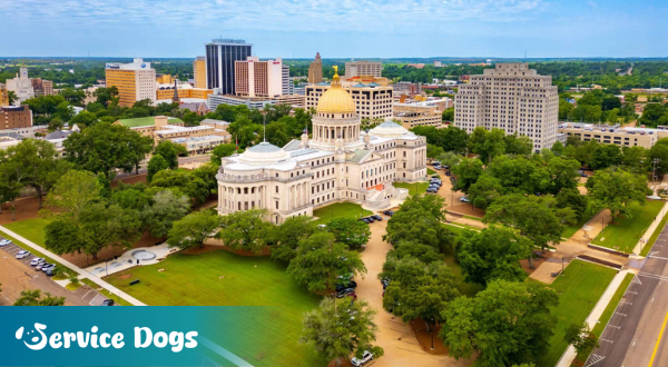 Emotional Support Animal Mississippi