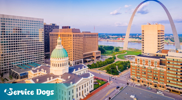 Emotional Support Animal Missouri