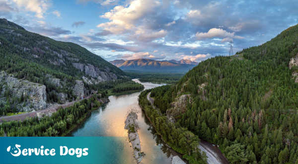 Emotional Support Animal Montana