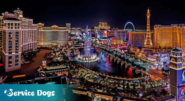 Emotional Support Animal Nevada