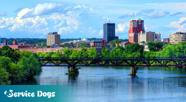 Emotional Support Animal New Hampshire