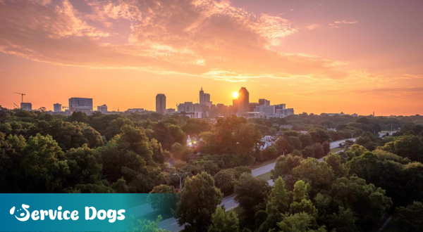 Emotional Support Animal North Carolina