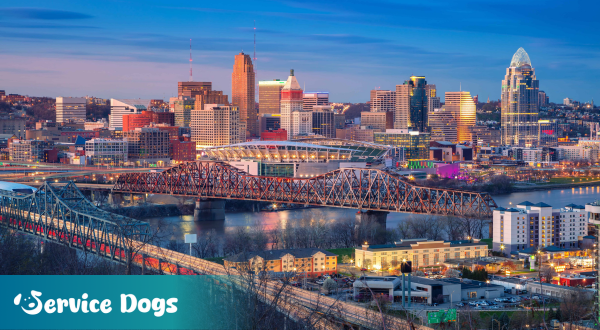 Emotional Support Animal Ohio