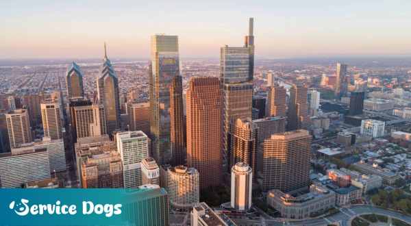 Emotional Support Animal Pennsylvania