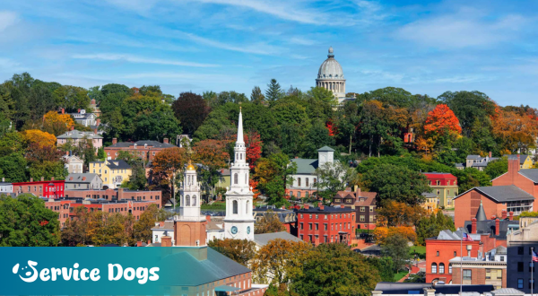 Emotional Support Animal Rhode Island