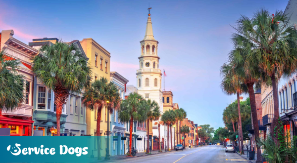 Emotional Support Animal South Carolina