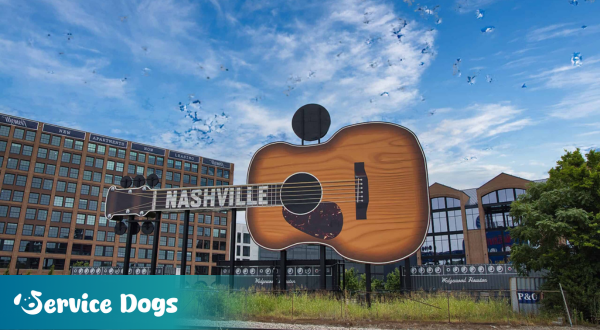 Emotional Support Animal Tennessee