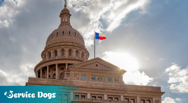 Emotional Support Animal Texas