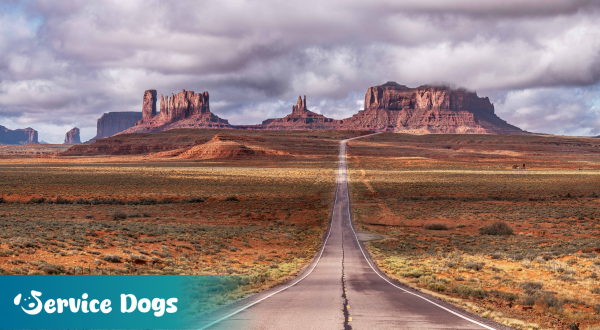 Emotional Support Animal Utah