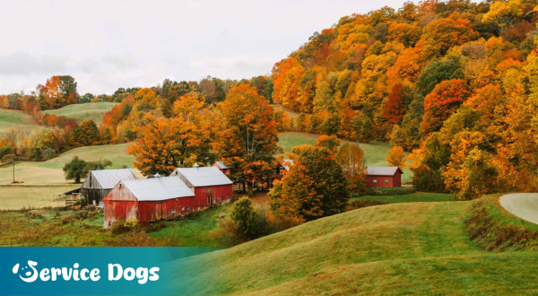 Emotional Support Animal Vermont